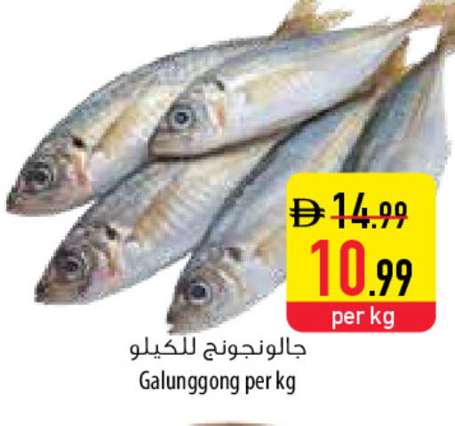 available at السفير ماركت in الإمارات العربية المتحدة , الامارات - ٱلْعَيْن‎