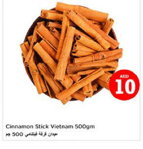 Cinnamon available at لاست تشانس in الإمارات العربية المتحدة , الامارات - ٱلْفُجَيْرَة‎