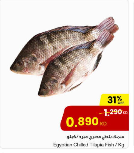 available at مركز سلطان in الكويت - محافظة الأحمدي