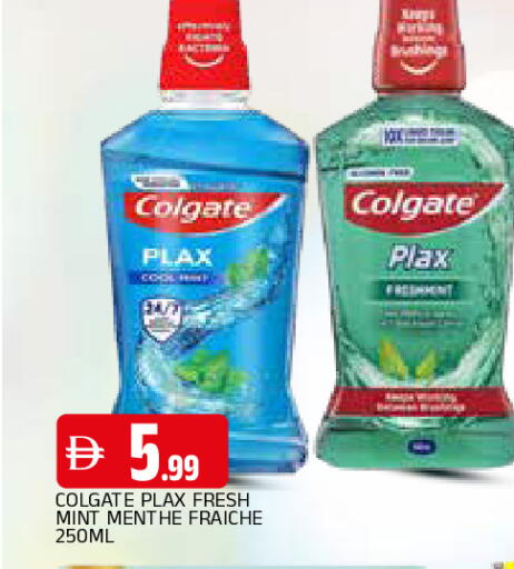 Mint available at المدينة in الإمارات العربية المتحدة , الامارات - الشارقة / عجمان