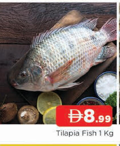 available at المدينة in الإمارات العربية المتحدة , الامارات - الشارقة / عجمان