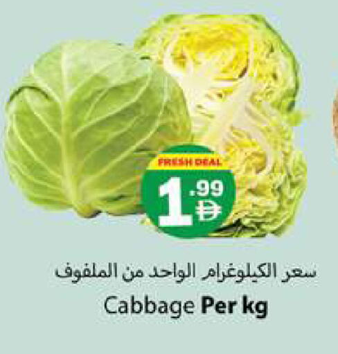 Cabbage available at جلف هايبرماركت ذ.م.م in الإمارات العربية المتحدة , الامارات - رَأْس ٱلْخَيْمَة