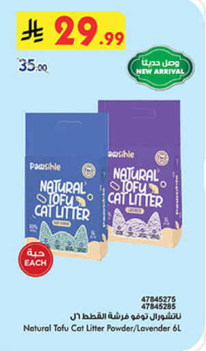 available at بن داود in مملكة العربية السعودية, السعودية, سعودية - خميس مشيط