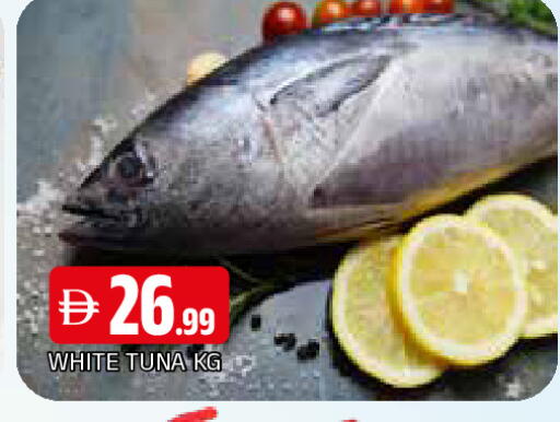 available at المدينة in الإمارات العربية المتحدة , الامارات - الشارقة / عجمان