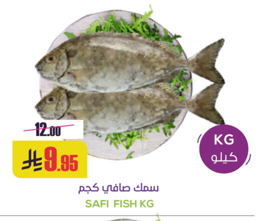 available at سبت in مملكة العربية السعودية, السعودية, سعودية - بريدة