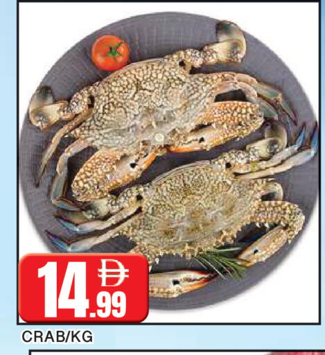 available at المدينة in الإمارات العربية المتحدة , الامارات - الشارقة / عجمان