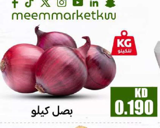available at شركة سوق ميم المركزي  in الكويت - مدينة الكويت