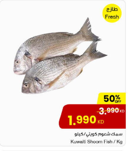 available at مركز سلطان in الكويت - محافظة الأحمدي