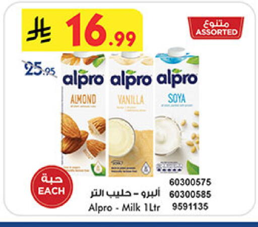 Vanilla available at بن داود in مملكة العربية السعودية, السعودية, سعودية - خميس مشيط