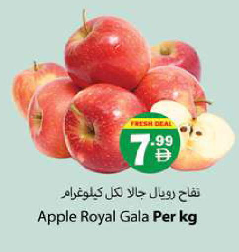 Apple available at Gulf Hypermarket LLC in UAE - Ras al Khaimah