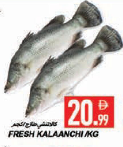 available at  روابي ماركت عجمان in الإمارات العربية المتحدة , الامارات - الشارقة / عجمان