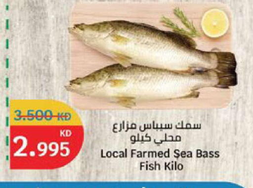 available at City Hypermarket in Kuwait - Ahmadi Governorate