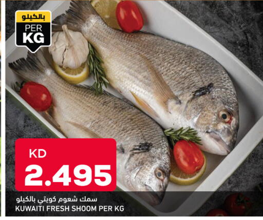 available at أونكوست in الكويت - محافظة الأحمدي