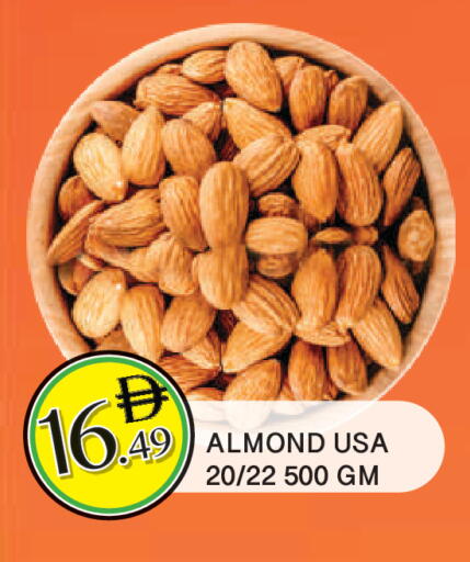 available at المدينة in الإمارات العربية المتحدة , الامارات - الشارقة / عجمان