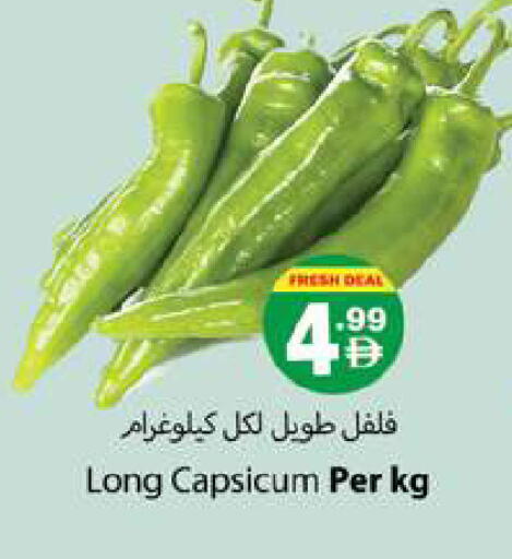 Capsicum available at جلف هايبرماركت ذ.م.م in الإمارات العربية المتحدة , الامارات - رَأْس ٱلْخَيْمَة