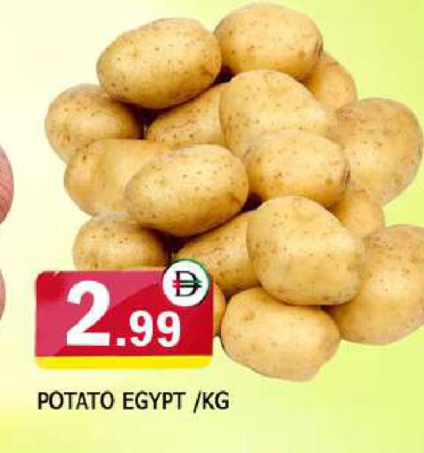Potato from Egypt available at المدينة in الإمارات العربية المتحدة , الامارات - الشارقة / عجمان