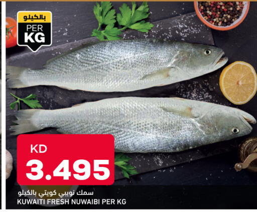 available at أونكوست in الكويت - محافظة الأحمدي