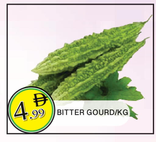 available at المدينة in الإمارات العربية المتحدة , الامارات - الشارقة / عجمان