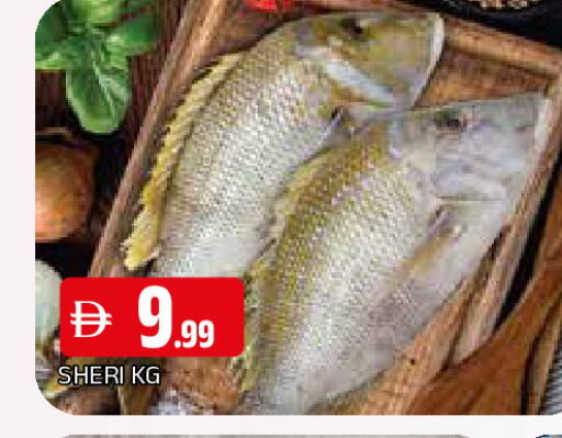 available at المدينة in الإمارات العربية المتحدة , الامارات - الشارقة / عجمان