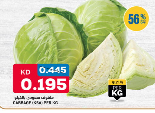 Cabbage available at أونكوست in الكويت - مدينة الكويت
