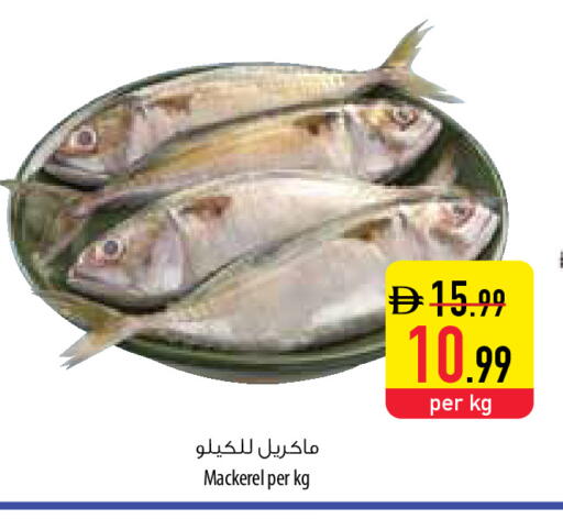 available at السفير ماركت in الإمارات العربية المتحدة , الامارات - أم القيوين‎