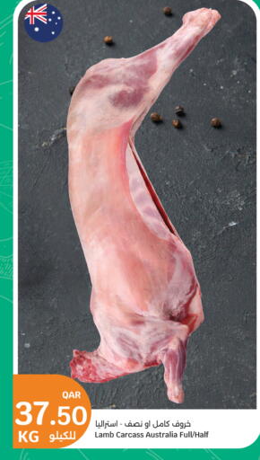 available at سيتي هايبرماركت in قطر - الشمال