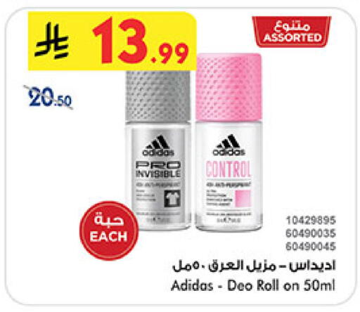 available at بن داود in مملكة العربية السعودية, السعودية, سعودية - المدينة المنورة