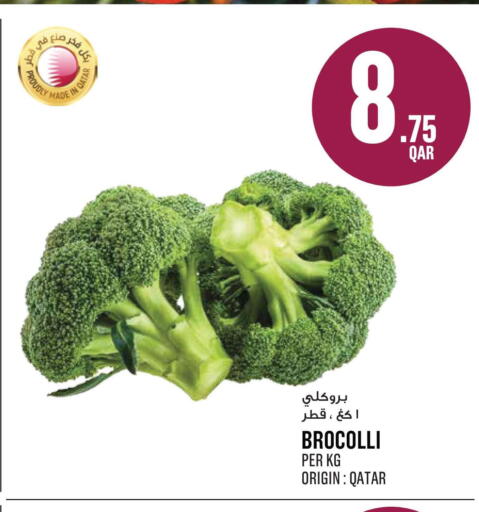 from Qatar available at مونوبريكس in قطر - الشمال