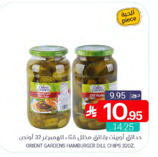 Dill available at Muntazah Markets in KSA, Saudi Arabia, Saudi - Dammam
