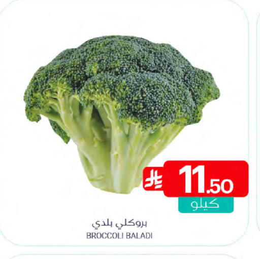 Broccoli available at اسواق المنتزه in مملكة العربية السعودية, السعودية, سعودية - سيهات