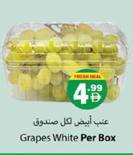 available at Gulf Hypermarket LLC in UAE - Ras al Khaimah