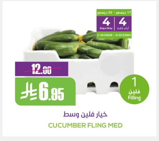 Cucumber available at سبت in مملكة العربية السعودية, السعودية, سعودية - بريدة