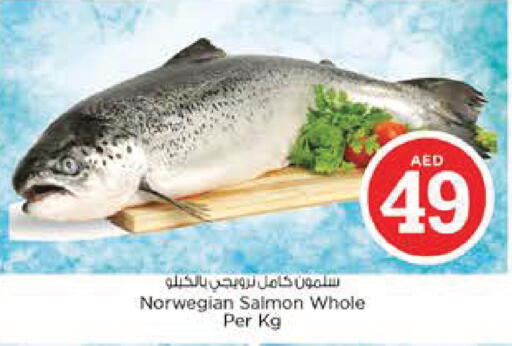 available at نستو هايبرماركت in الإمارات العربية المتحدة , الامارات - أبو ظبي