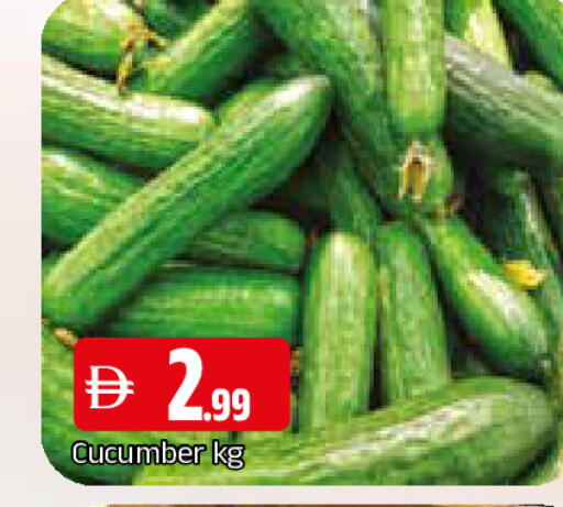 Cucumber available at المدينة in الإمارات العربية المتحدة , الامارات - الشارقة / عجمان