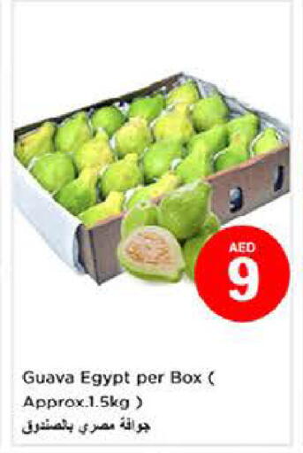 Guava from Egypt available at لاست تشانس in الإمارات العربية المتحدة , الامارات - ٱلْفُجَيْرَة‎