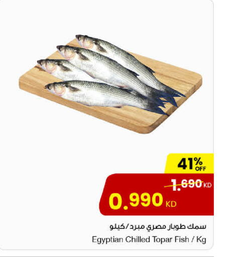 available at مركز سلطان in الكويت - محافظة الأحمدي