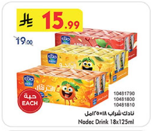 available at بن داود in مملكة العربية السعودية, السعودية, سعودية - المدينة المنورة