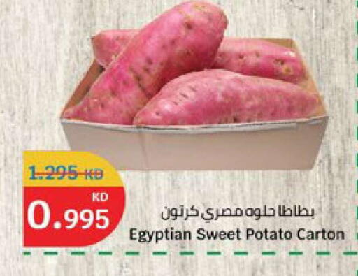 Sweet Potato from Egypt available at سيتي هايبرماركت in الكويت - محافظة الأحمدي