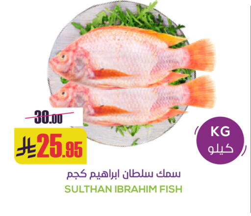 available at سبت in مملكة العربية السعودية, السعودية, سعودية - بريدة