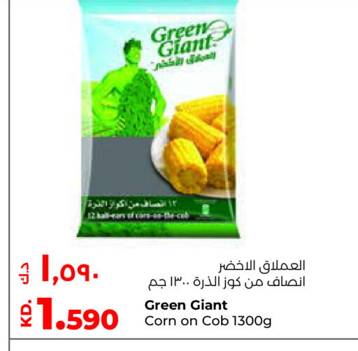 available at Lulu Hypermarket  in Kuwait - Ahmadi Governorate