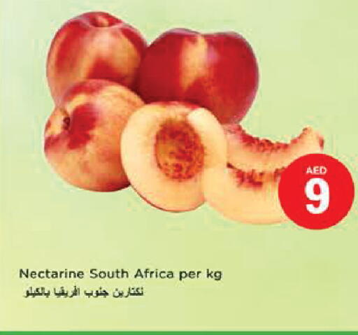Nectarine from South Africa available at Nesto Hypermarket in UAE - Al Ain