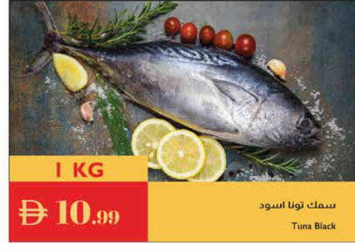 available at إسطنبول سوبرماركت in الإمارات العربية المتحدة , الامارات - الشارقة / عجمان