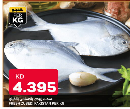 available at أونكوست in الكويت - محافظة الأحمدي