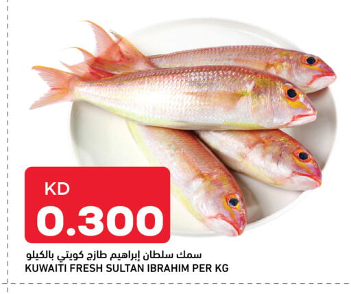 available at غلف مارت in الكويت - محافظة الأحمدي