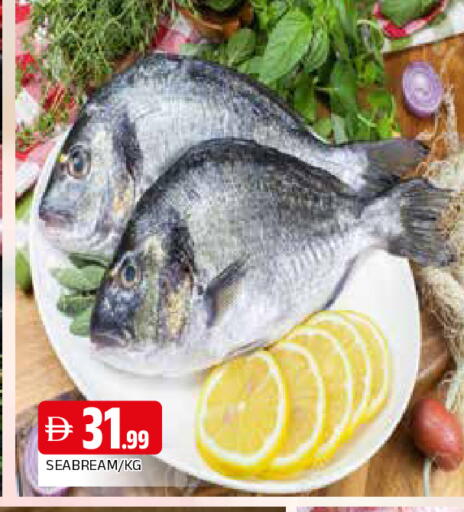 available at المدينة in الإمارات العربية المتحدة , الامارات - الشارقة / عجمان