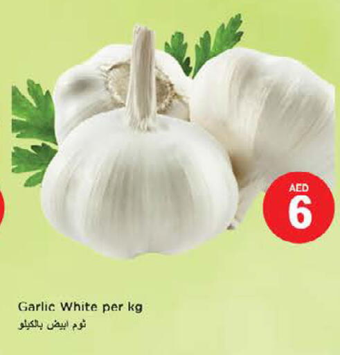 Garlic available at نستو هايبرماركت in الإمارات العربية المتحدة , الامارات - الشارقة / عجمان