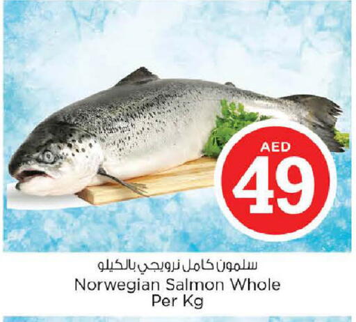 available at نستو هايبرماركت in الإمارات العربية المتحدة , الامارات - الشارقة / عجمان