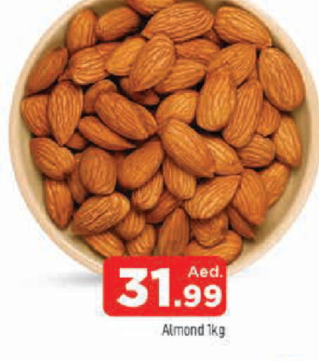 available at المدينة in الإمارات العربية المتحدة , الامارات - الشارقة / عجمان