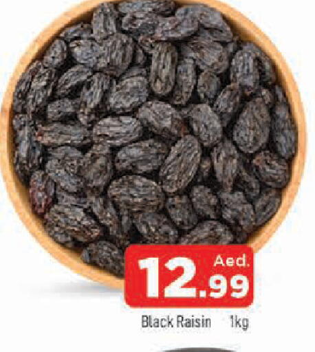 available at المدينة in الإمارات العربية المتحدة , الامارات - الشارقة / عجمان