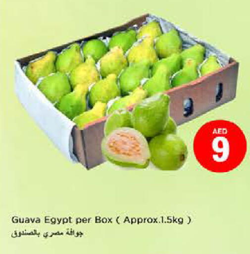 Guava from Egypt available at Nesto Hypermarket in UAE - Fujairah